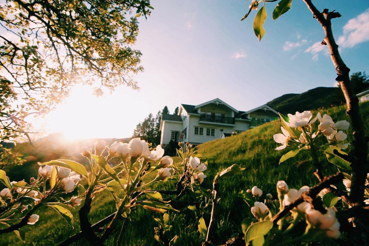 Gjerdset Turistsenter Villa Isfjorden Bagian luar foto